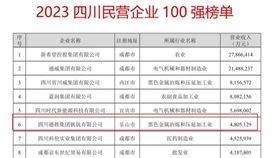 連續(xù)六年！德勝集團(tuán)上榜“四川民營(yíng)企業(yè)100強(qiáng)”