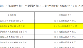 德勝釩鈦入選2023年度“畝均論英雄”產業(yè)園區(qū)規(guī)上工業(yè)A類企業(yè)